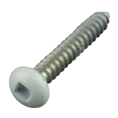 white stainless steel gutter screws